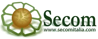 Logo Secom 2023_small.png